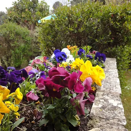 Holiday home Des Gardettes Saint-Paul-de-Vence